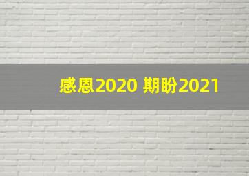 感恩2020 期盼2021